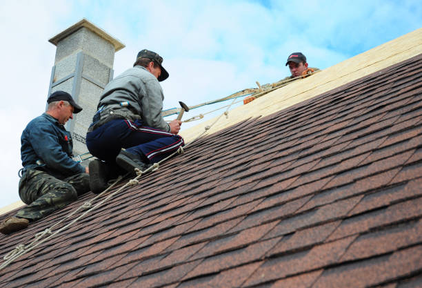 Best Roof Gutter Cleaning  in Kemmerer, WY